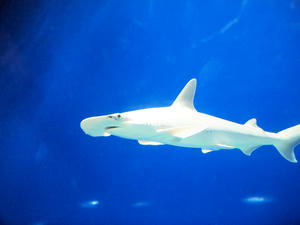 20110105_729shuusei.jpg