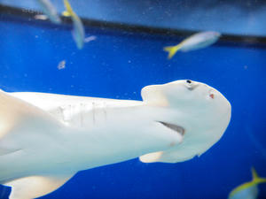 20110105_735shuusei.jpg