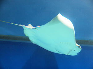 20110105_750shuusei.jpg