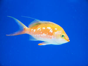 20110105_734shuusei.jpg