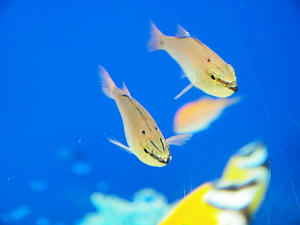 20110105_756shuusei.jpg