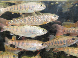 20110117_35shuusei.jpg