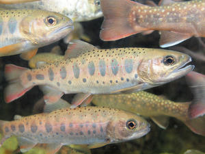20110117_38shuusei.jpg