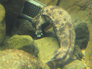 20110117_33shuusei.jpg
