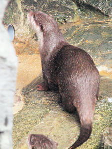20110117_6shuusei.jpg