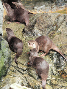 20110117_7shuusei.jpg