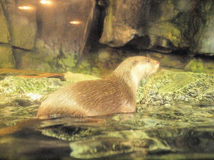 20110117_50shuusei.jpg