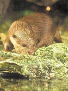 20110117_71shuusei.jpg