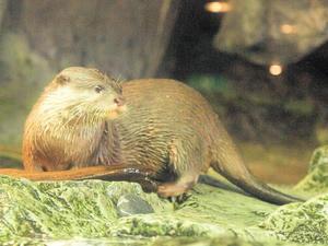 20110117_75shuusei.jpg