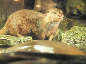 20110117_88shuusei.jpg