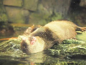 20110117_100shuusei.jpg