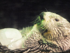 20110117_122shuusei.jpg