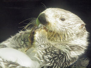 20110117_143shuusei.jpg