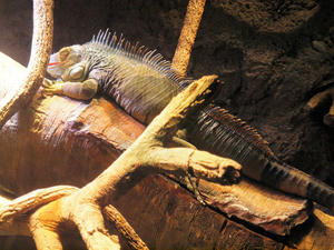 20110117_190shuusei.jpg
