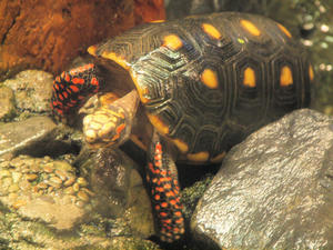 20110117_166shuusei.jpg