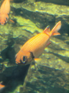 20110117_169shuusei.jpg