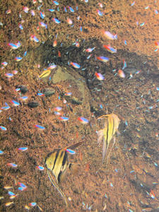 20110117_186shuusei.jpg