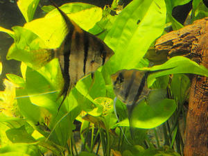20110117_189shuusei.jpg