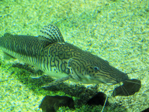 20110117_204shuusei.jpg