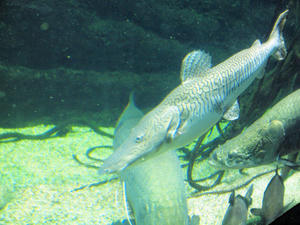 20110117_200shuusei.jpg
