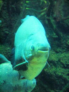 20110117_196shuusei.jpg