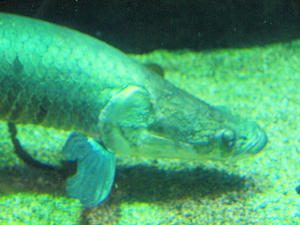 20110117_195shuusei.jpg