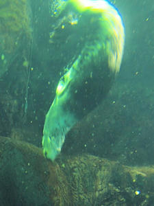 20110117_327shuusei.jpg