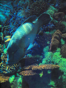20110105_782shuusei.jpg