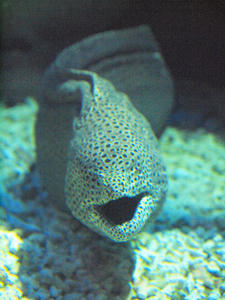 20110105_790shuusei.jpg