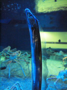 20110105_799shuusei.jpg