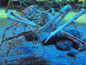 20110105_803shuusei.jpg