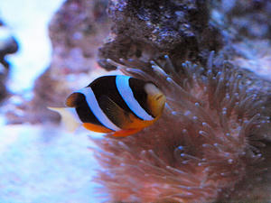 20110117_763shuusei.jpg