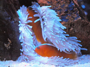 20110117_770shuusei.jpg