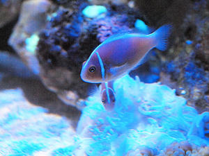 20110117_774shuusei.jpg