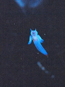 20110105_834shuusei.jpg