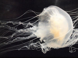 20110105_826shuusei.jpg