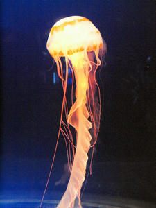 20110105_828shuusei.jpg