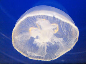 20110105_841shuusei.jpg