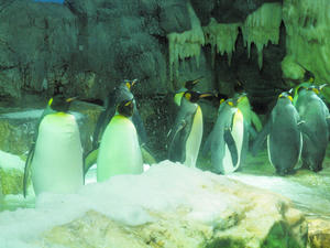 20110117_224shuusei.jpg