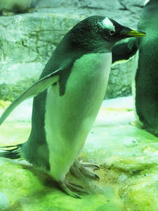 20110117_222shuusei.jpg
