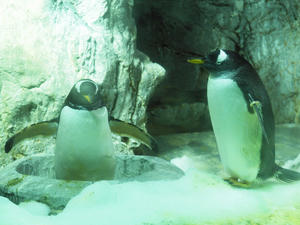 20110117_219shuusei.jpg