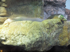 20110117_161shuusei.jpg