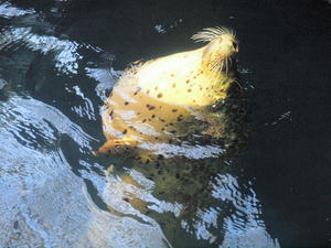 20110117_153shuusei.jpg