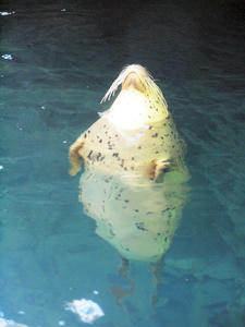 20110117_157shuusei.jpg