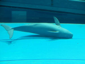 20110117_384shuusei.jpg