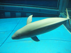 20110117_388shuusei.jpg