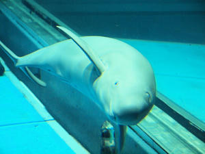 20110117_391shuusei.jpg