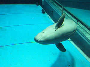 20110117_397shuusei.jpg