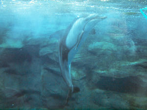 20110117_229shuusei.jpg