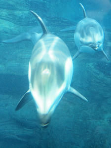 20110117_245shuusei.jpg